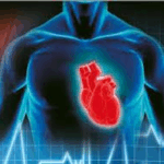 καρδιαγγειακές παθήσεις
