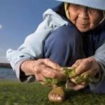 τα μυστικά της μακροζωίας