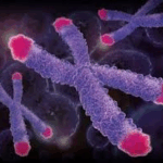 Τεστ αίματος προβλέπει το προσδόκιμο ζωής