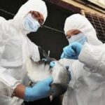 Κίνα: Στους 22 οι νεκροί από το νέο στέλεχος Η7Ν9