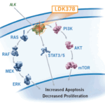 Το ερευνητικό μόριο LDK378 αναγνωρίζεται ως Πρωτοποριακή Θεραπεία για ασθενείς με μη μικροκυτταρικό καρκίνο του πνεύμονα