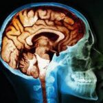 Aνακάλυψαν το κέντρο ελέγχου της γήρανσης