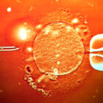 Νέα τεχνική υπόσχεται επανάσταση στην εξωσωματική γονιμοποίηση