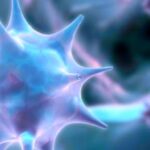 Παγκόσμιος Οργανισμός Υγείας: ο κορονοϊός μπορεί να μεταδοθεί από άνθρωπο σε άνθρωπο