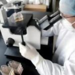 Δέκα ύποπτα κρούσματα του ιού της νέας άτυπης πνευμονίας Sars στην Φλωρεντία
