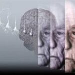 Οι αρρυθμίες της καρδιάς, πιθανό σημάδι για πρόωρη άνοια