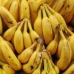 Eisaggeliki_ereyna_gia_epikindyno_fytofarmako_poy_kitrinizei_tis_mpananes_