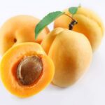 Apricot