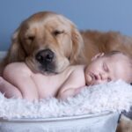 babies_dogs